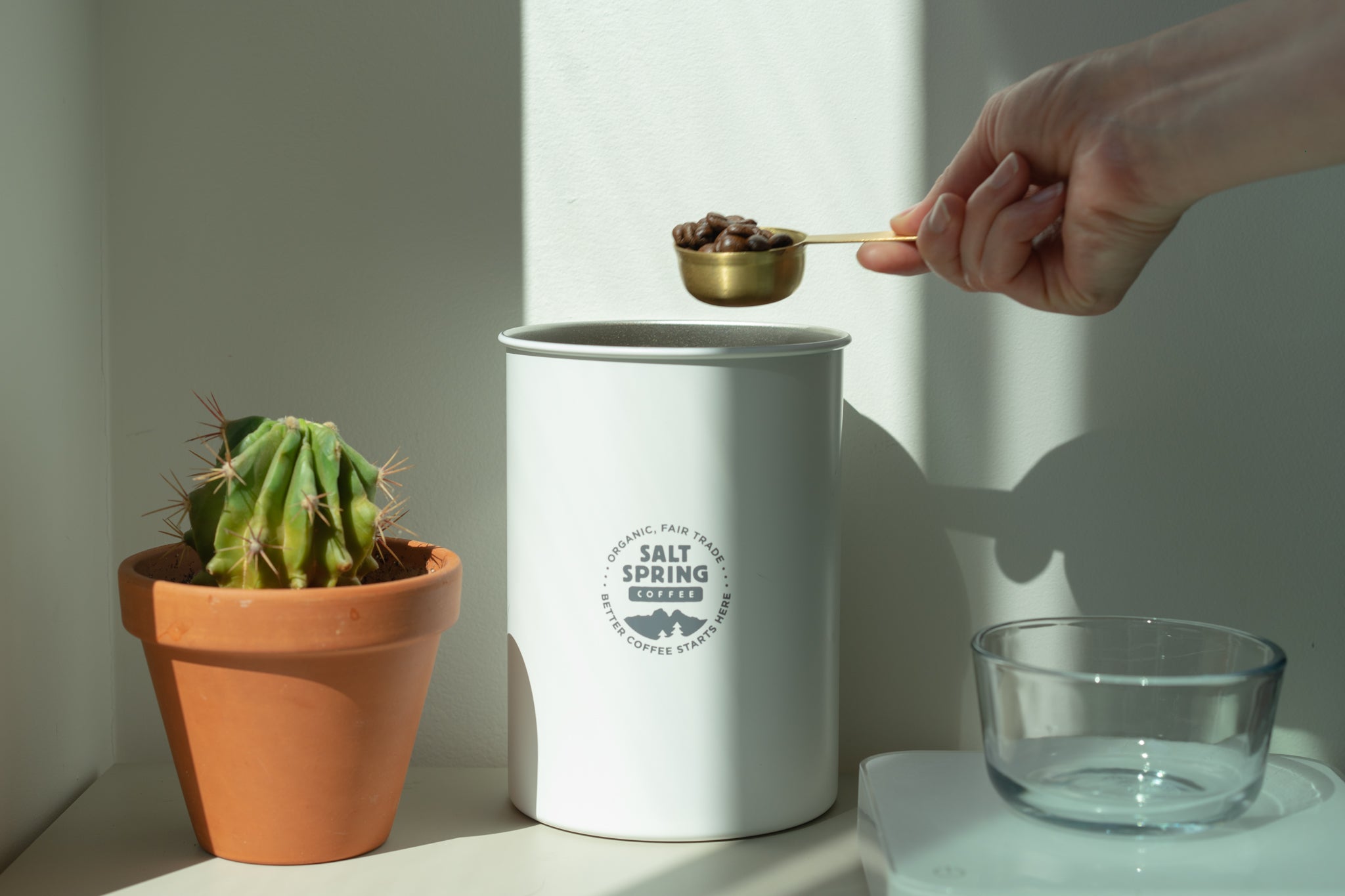 White airscape coffee canister inbetween a cactus and a glass bowl