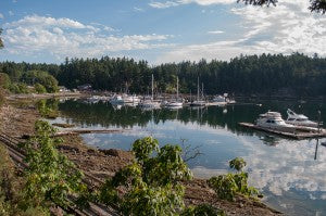 20 things you didn’t know about Salt Spring Coffee