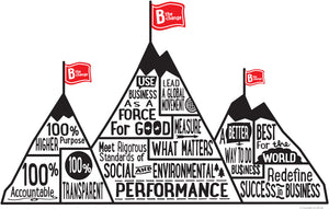 What it means to be a B Corp