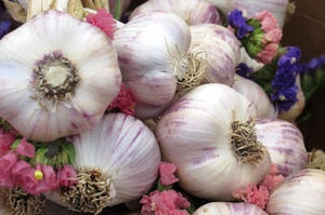 The 5th Annual Garlic Festival: This Sunday, August 25