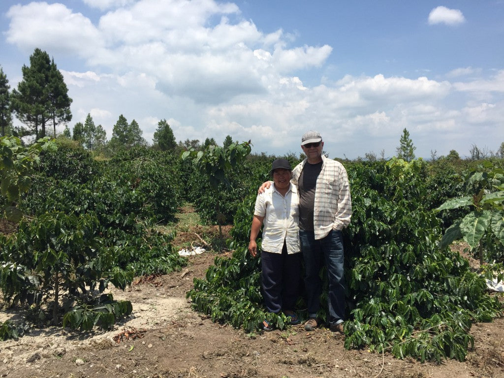 Coffee Origin: Sumatra in Spring 2016