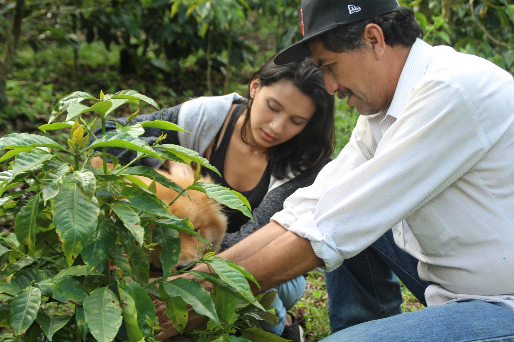 Biodynamic Farming With Byron Corrales