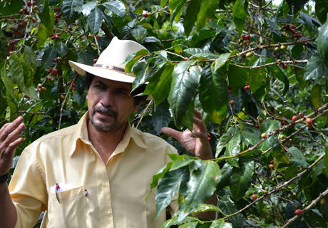 Nicaragua 2012 Trip Report