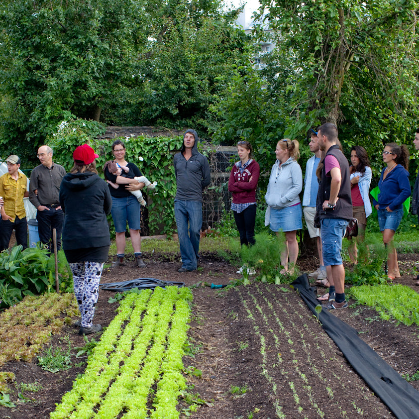 Young Agrarians: Supporting People in Their Journey Into Organic and Regenerative Farming