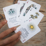 A Deck of Wander - Playing Cards