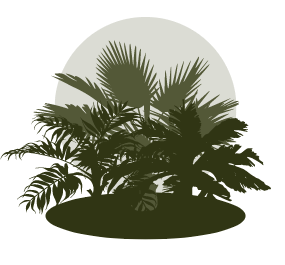 Vegetative Cover